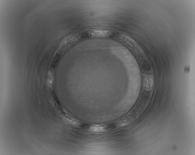 X0000096680701200802261516