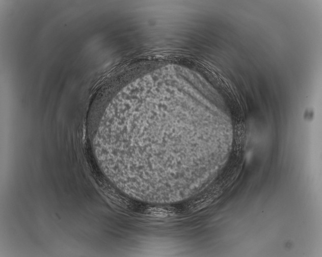 X0000096680703200802261516