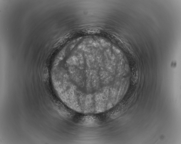 X0000096680704200802261516