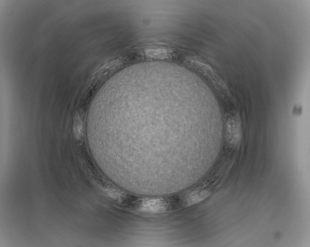 X0000096680705200802261516