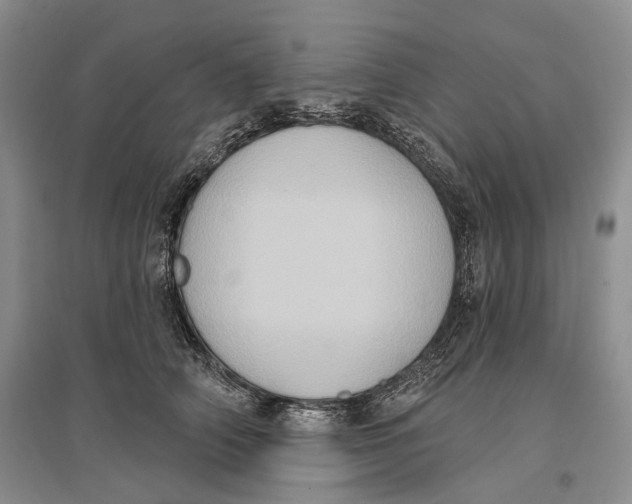 X0000096680706200802261516