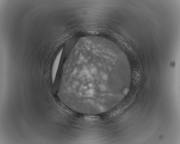 X0000096680707200802261516