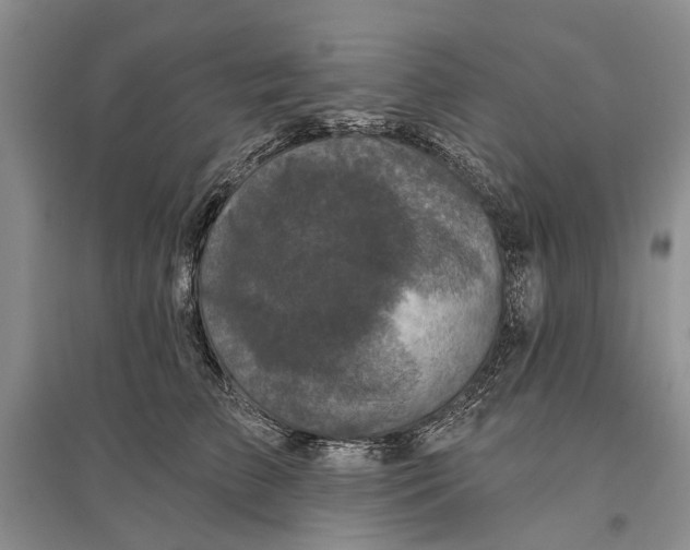 X0000096680709200802261516