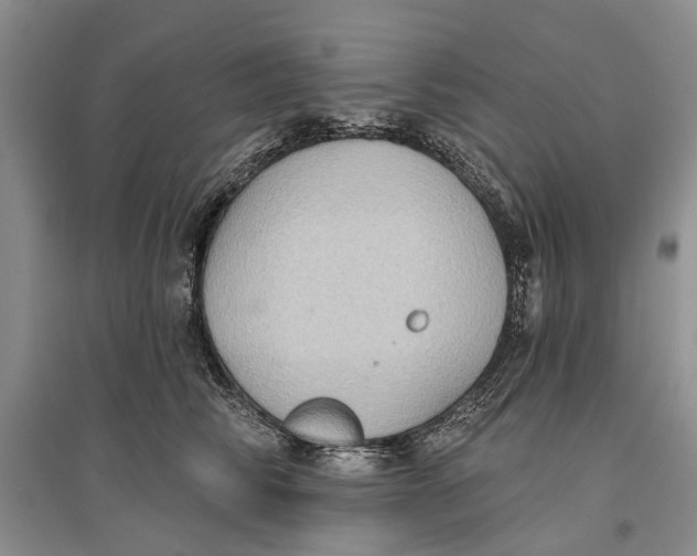 X0000096680710200802261516