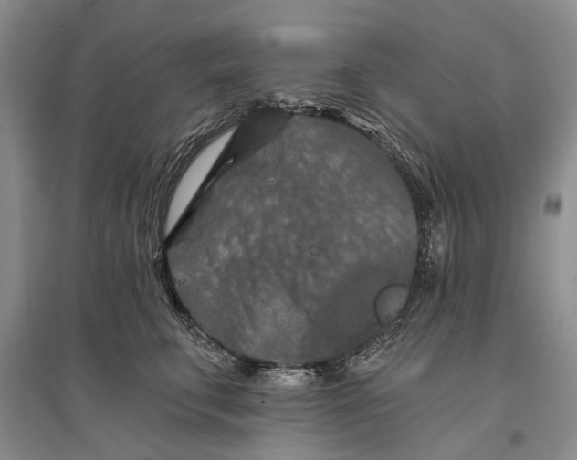 X0000096680711200802261516