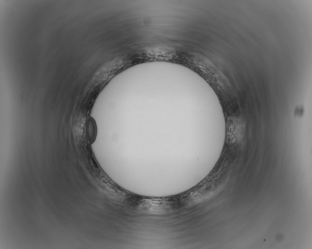 X0000096680713200802261516