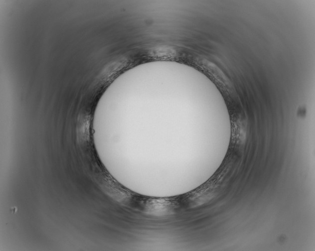 X0000096680717200802261516