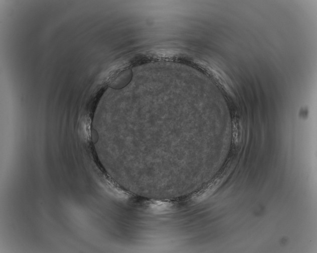 X0000096680718200802261516