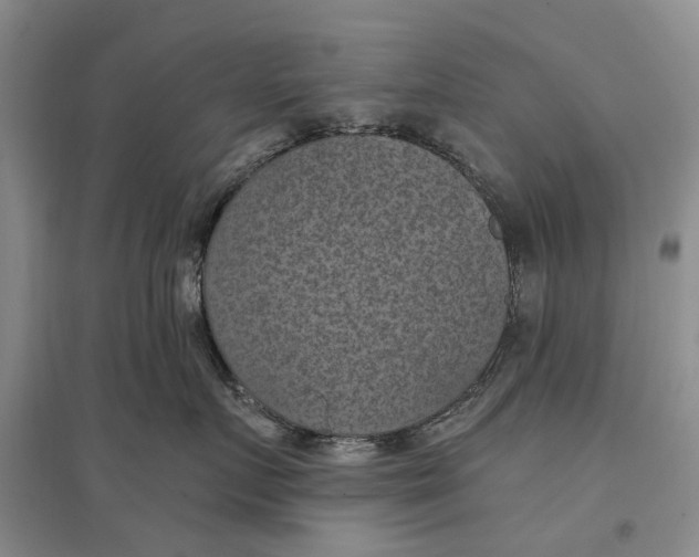 X0000096680719200802261516