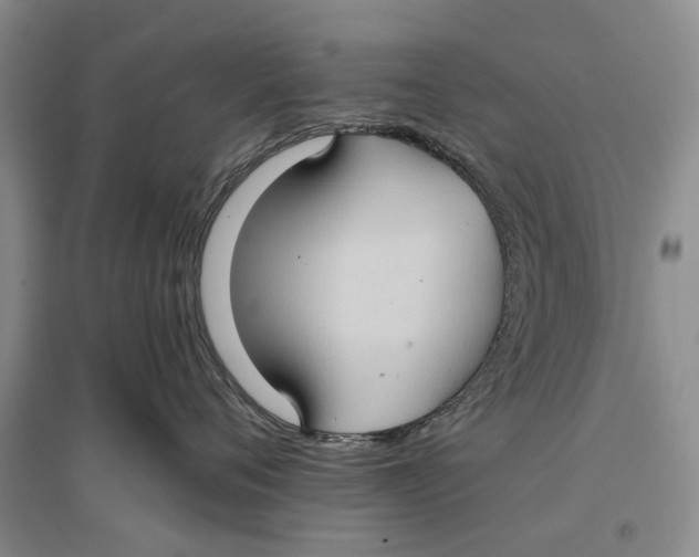 X0000096680720200802261516