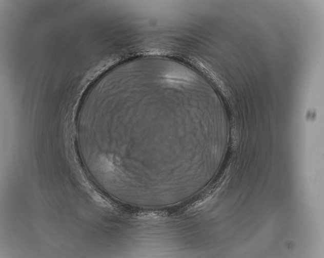 X0000096680721200802261515