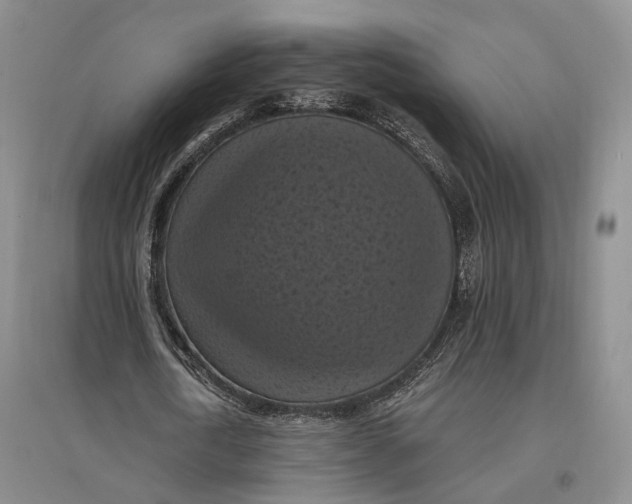 X0000096680722200802261515