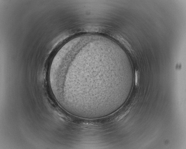 X0000096680723200802261515