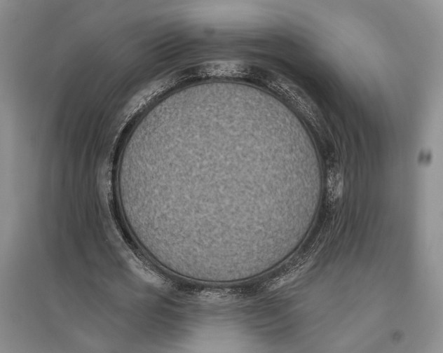 X0000096680725200802261515