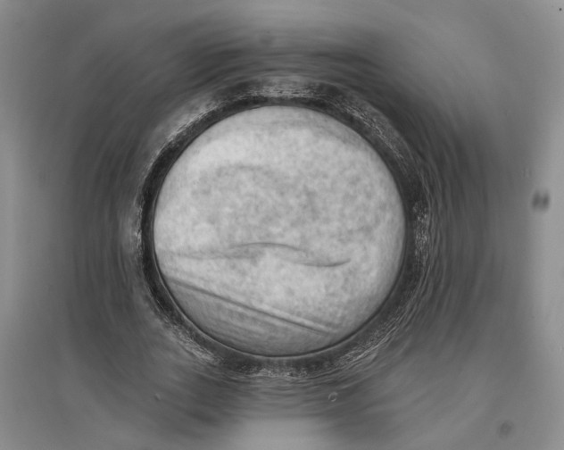 X0000096680727200802261515