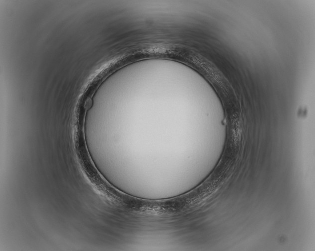 X0000096680728200802261515