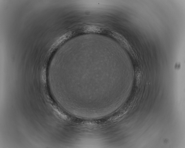 X0000096680729200802261515