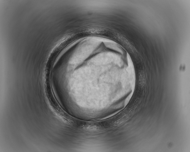 X0000096680730200802261515