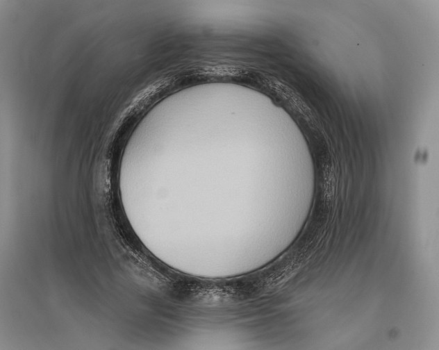 X0000096680731200802261515