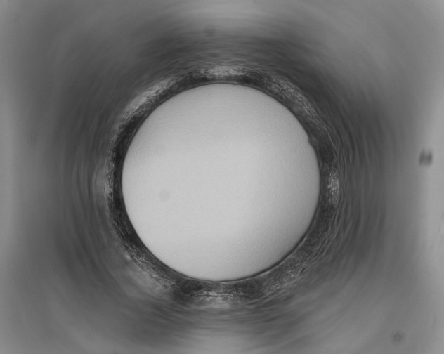 X0000096680732200802261515