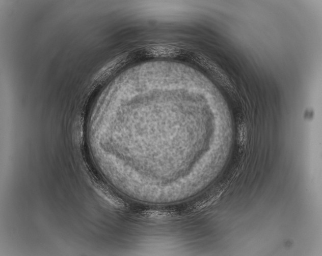 X0000096680733200802261515