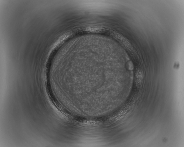 X0000096680734200802261515