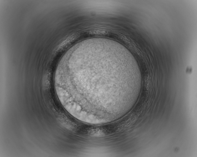 X0000096680735200802261515