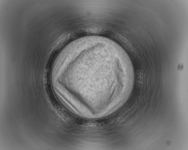 X0000096680738200802261515