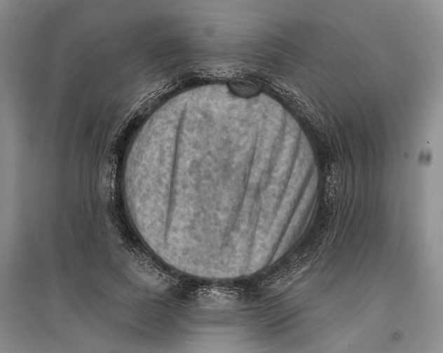 X0000096680739200802261515