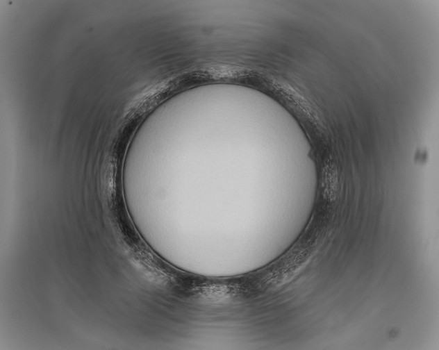 X0000096680740200802261515