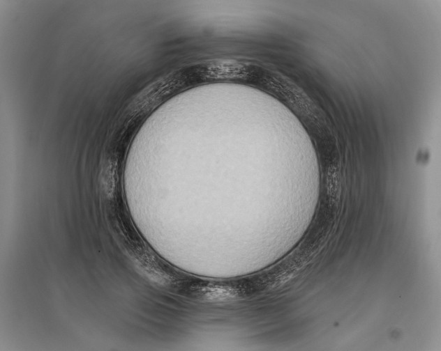 X0000096680741200802261515