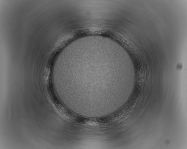 X0000096680742200802261515