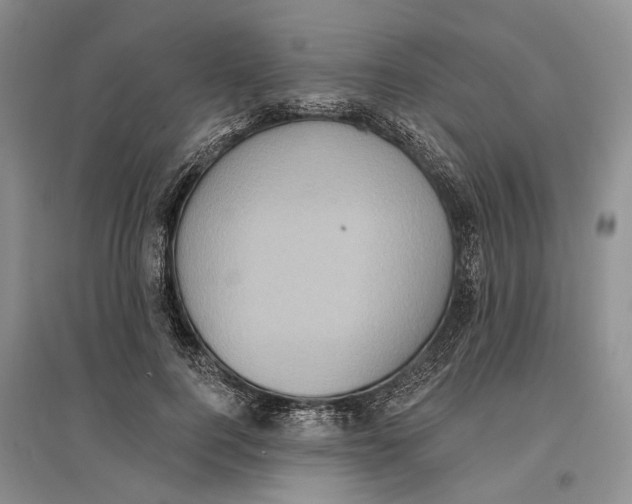 X0000096680744200802261515