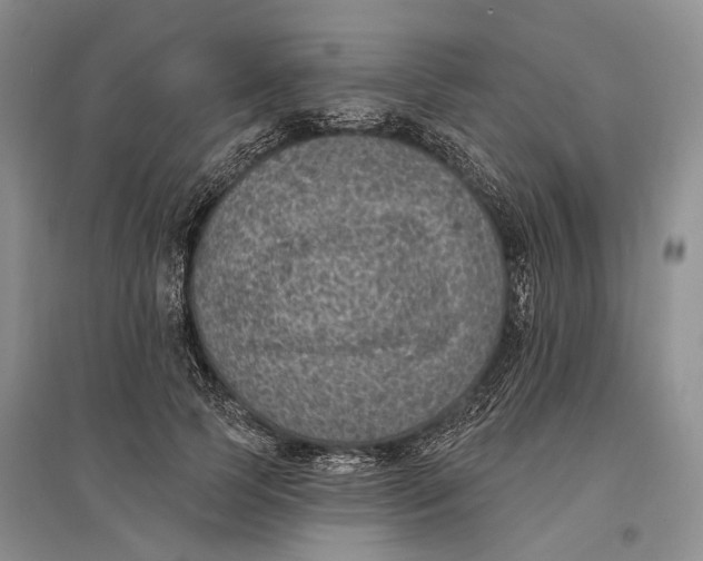 X0000096680745200802261515