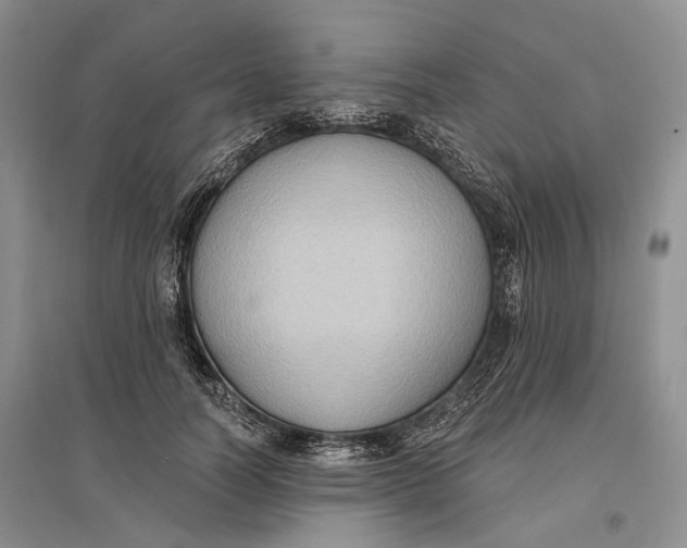 X0000096680746200802261515