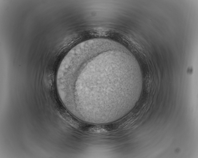 X0000096680747200802261515