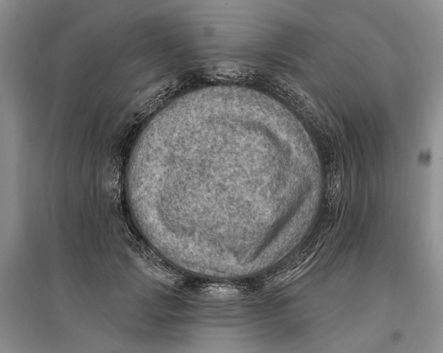 X0000096680749200802261516