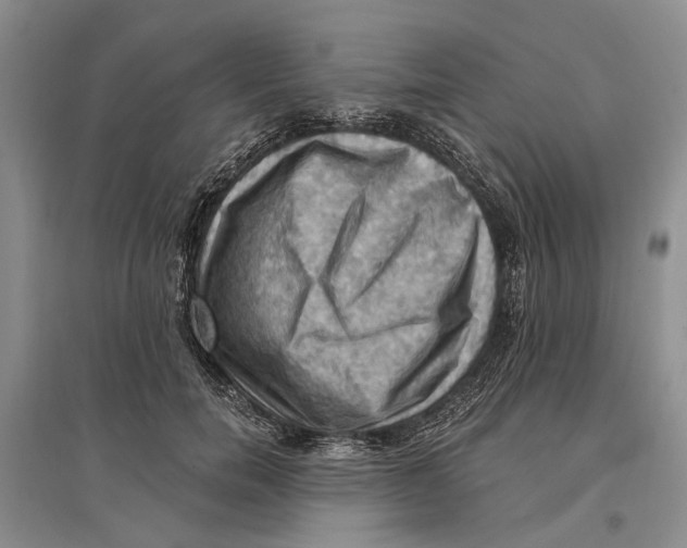 X0000096680750200802261516