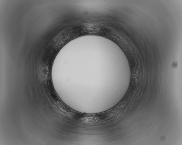 X0000096680752200802261516