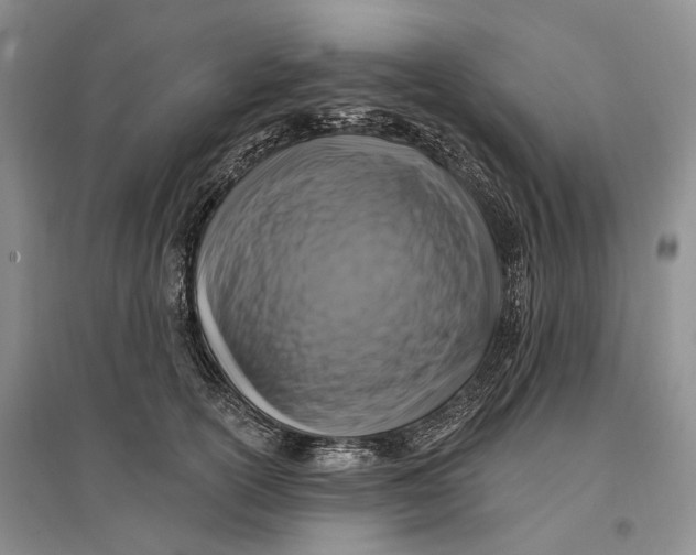 X0000096680754200802261516