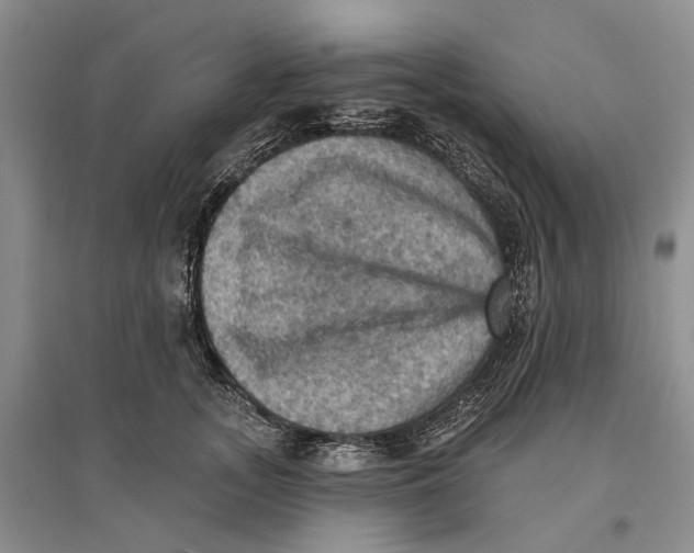 X0000096680755200802261516