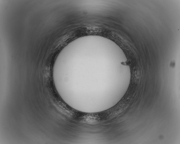 X0000096680756200802261516