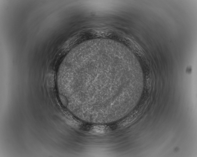 X0000096680757200802261516