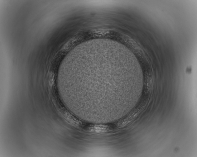 X0000096680758200802261516