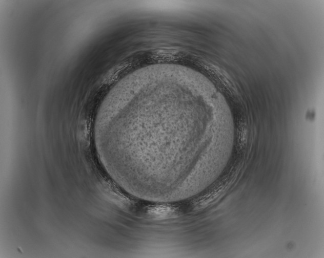 X0000096680759200802261516