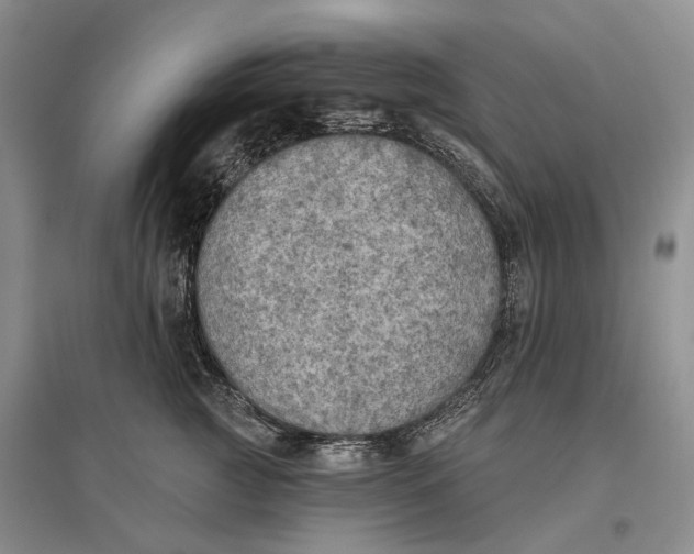 X0000096680761200802261516