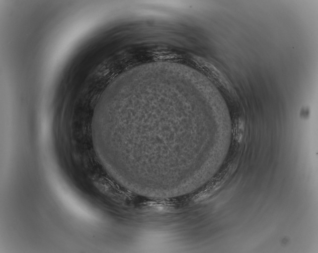 X0000096680763200802261516