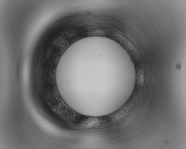 X0000096680764200802261516