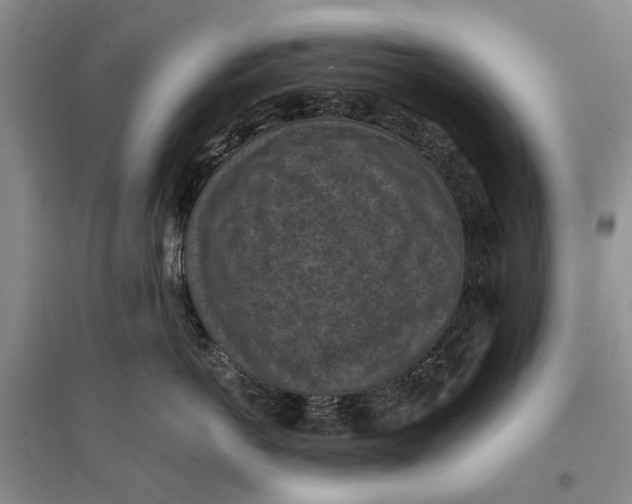 X0000096680766200802261516