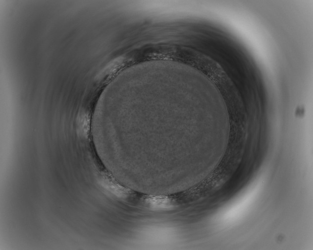 X0000096680767200802261516